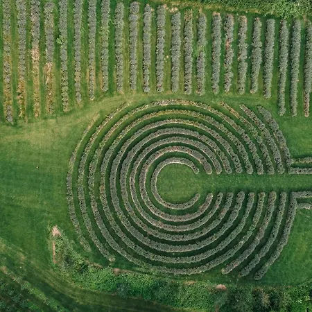 Stajerska Sivka - Jacuzzi & Savna Appartement