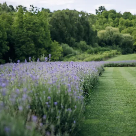 Stajerska Sivka - Jacuzzi & Savna Appartement Maribor