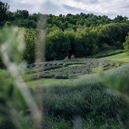 Stajerska Sivka - Jacuzzi & Savna