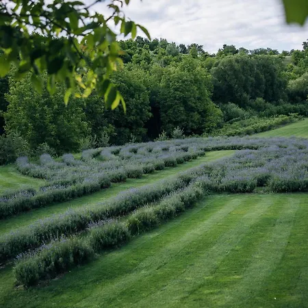 Appartement Stajerska Sivka - Jacuzzi & Savna