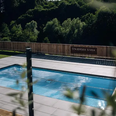 Stajerska Sivka - Jacuzzi & Savna דירה מריבור