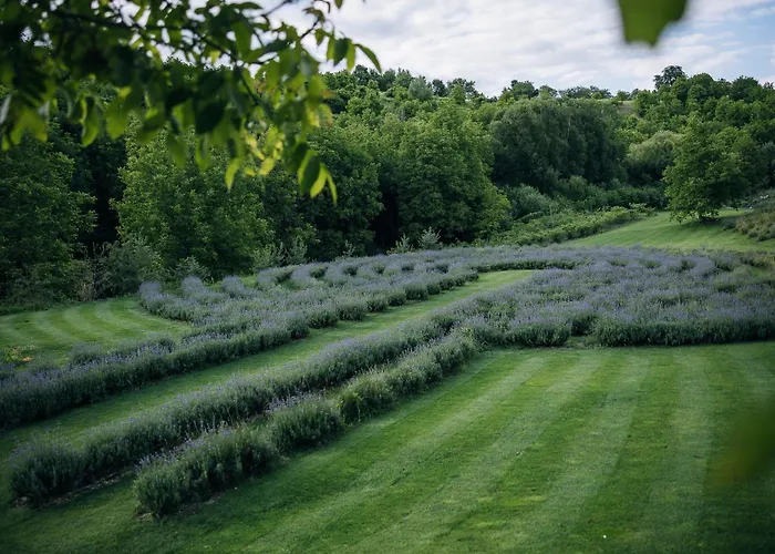 Διαμέρισμα Stajerska Sivka - Jacuzzi & Savna